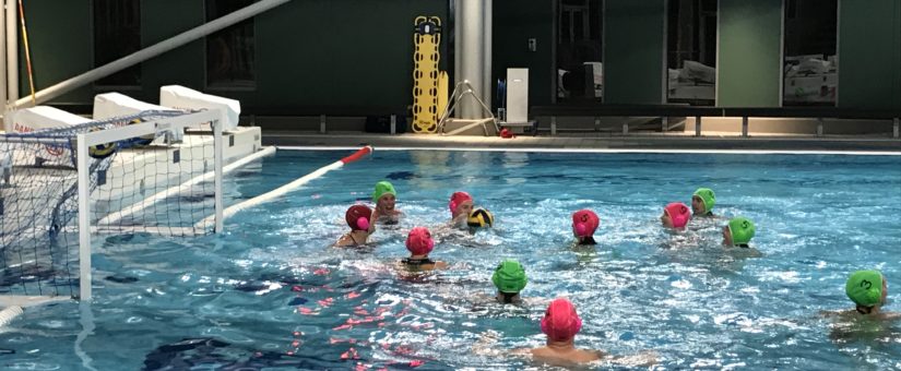 Ballarat Water Polo