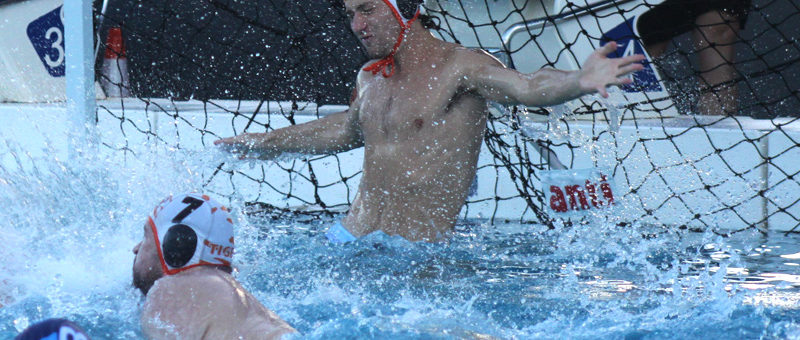 Goalie